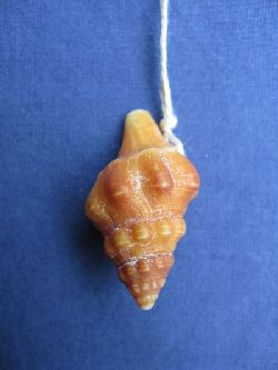 schmuck-historisches-replikat-stil-ur-und-frühgeschichte-steinzeit-kaufen